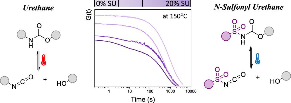 N-Sulfonyl Urethanes to Design Polyurethane Networks with Temperature-Controlled Dynamicity